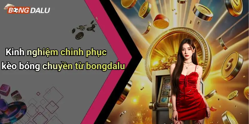 Kinh nghiệm chinh phục kèo bóng chuyền từ bongdalu