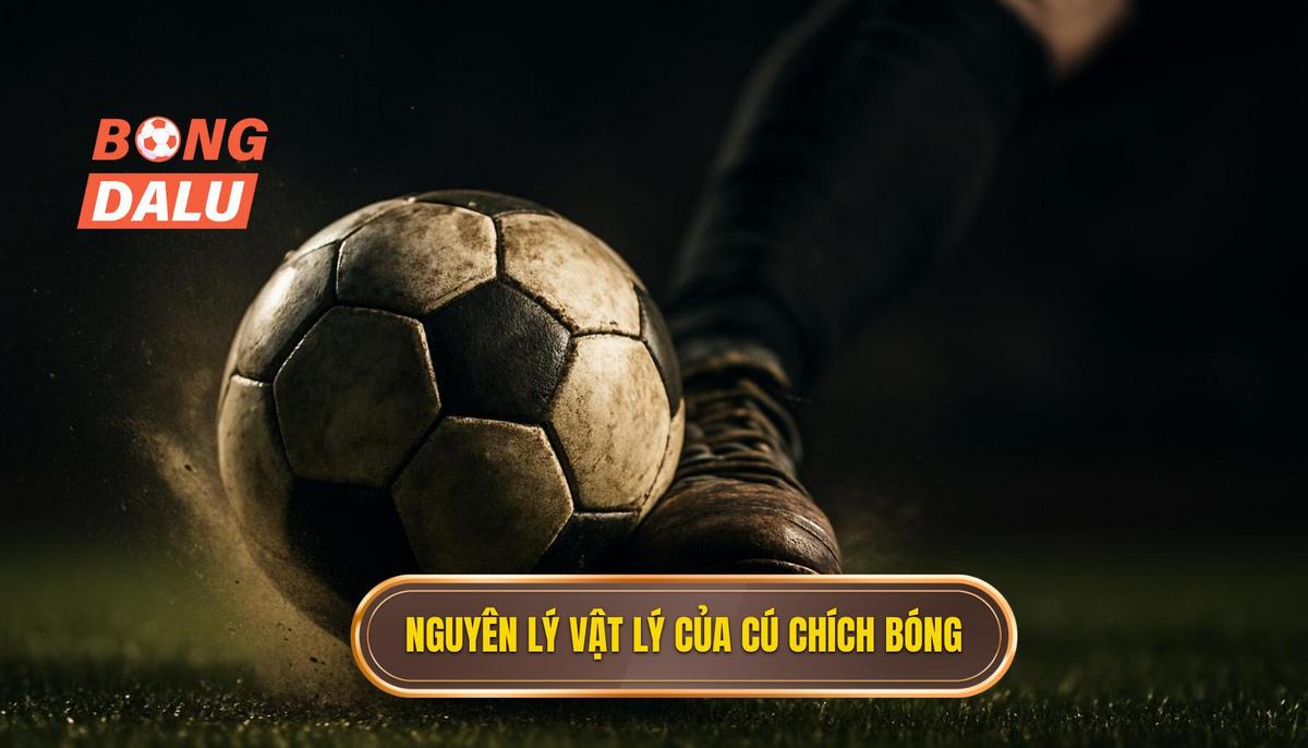 Cơ chế hoạt động và nguyên lý vật lý của cú Chích bóng