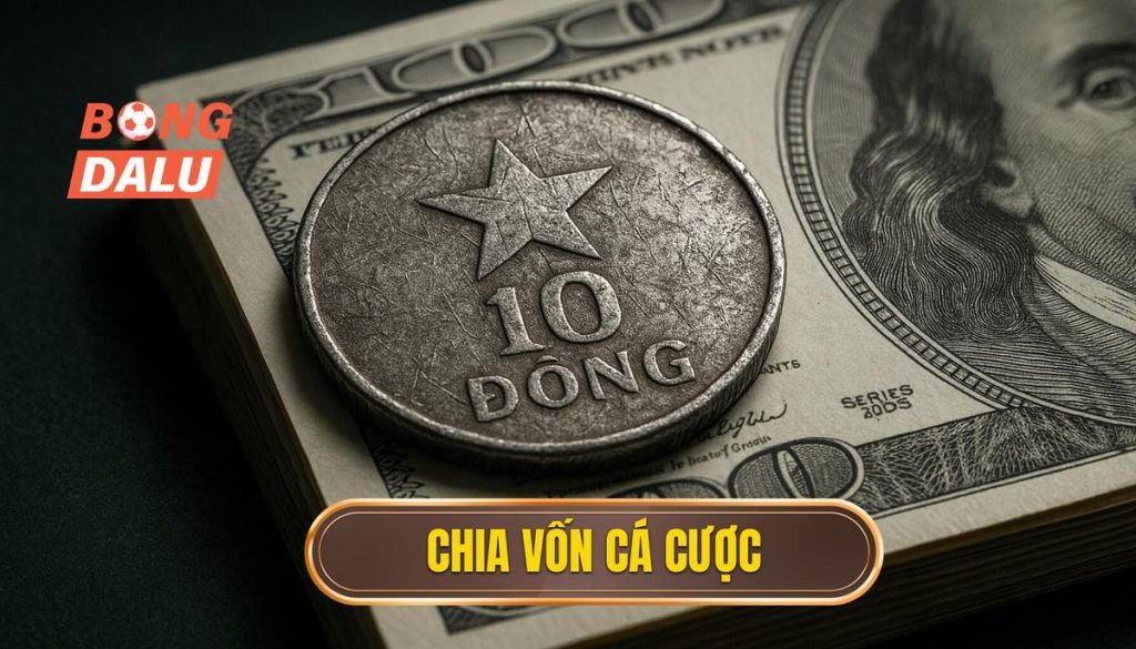 thumb - chia vốn cá cược