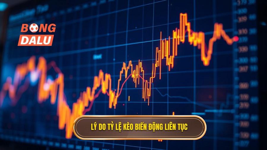 2. Lý do tỷ lệ kèo biến động liên tục
