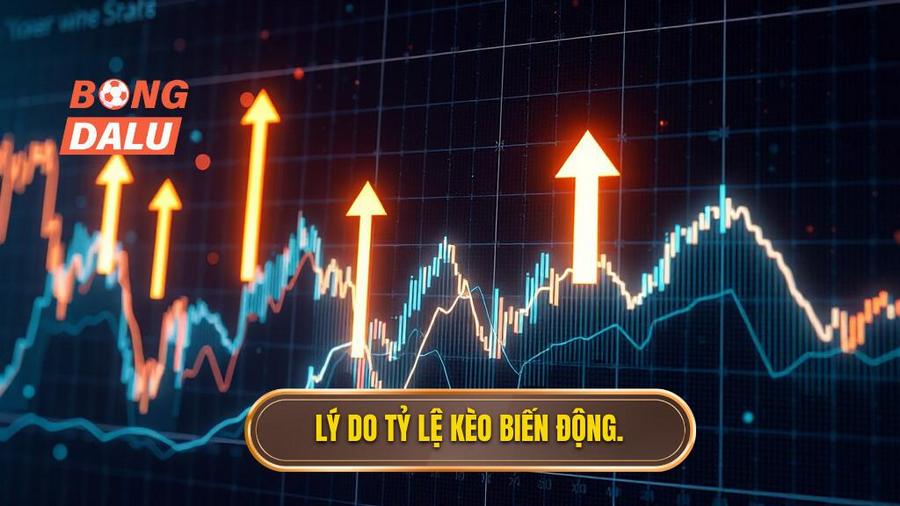 2. Lý do tỷ lệ kèo biến động.