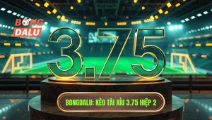Kèo tài xỉu 3.75 hiệp 2 là gì? Bí quyết soi kèo từ BONGDALU